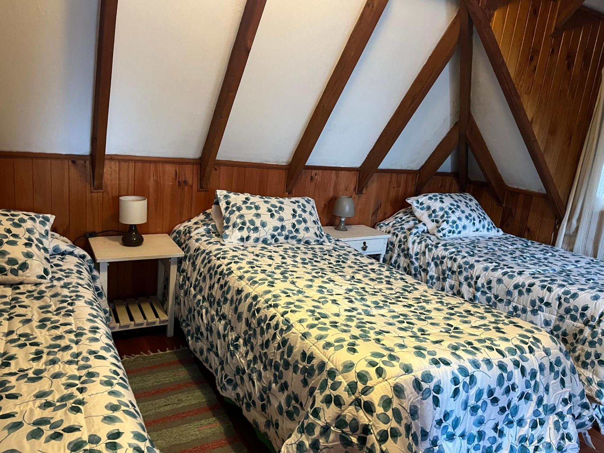 Cabana Ruca Quimey Villarrica Dış mekan fotoğraf